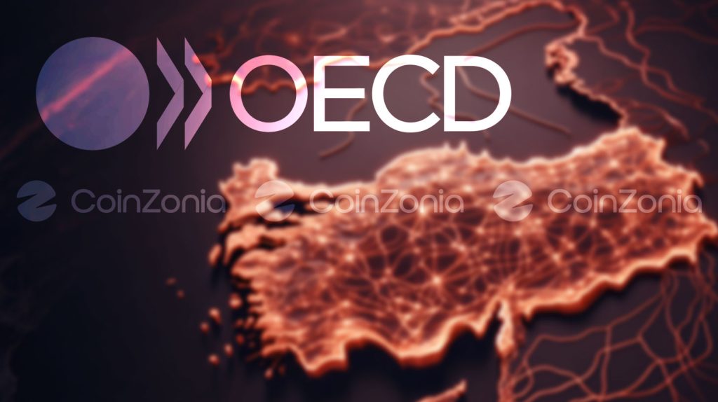 OECD'nin Ekonomik Görünüm Raporu: Türkiye’de büyüme yavaşlayacak, politikalar sıkılaşacak