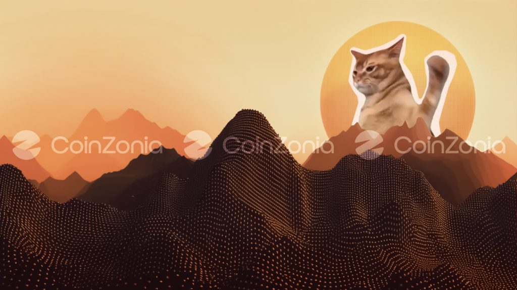 XRP yatırımcıları gözünü Catslap’a çevirdi: $SLAP son 7 günde %205 yükseldi!